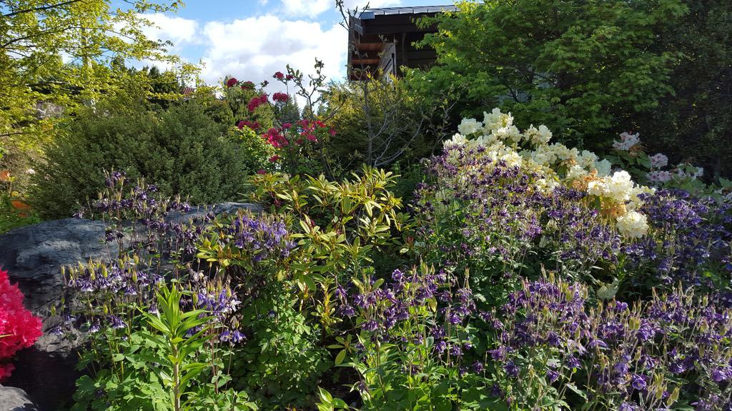 Marie Therese Apartment B&B Lake Tekapo Bagian luar foto