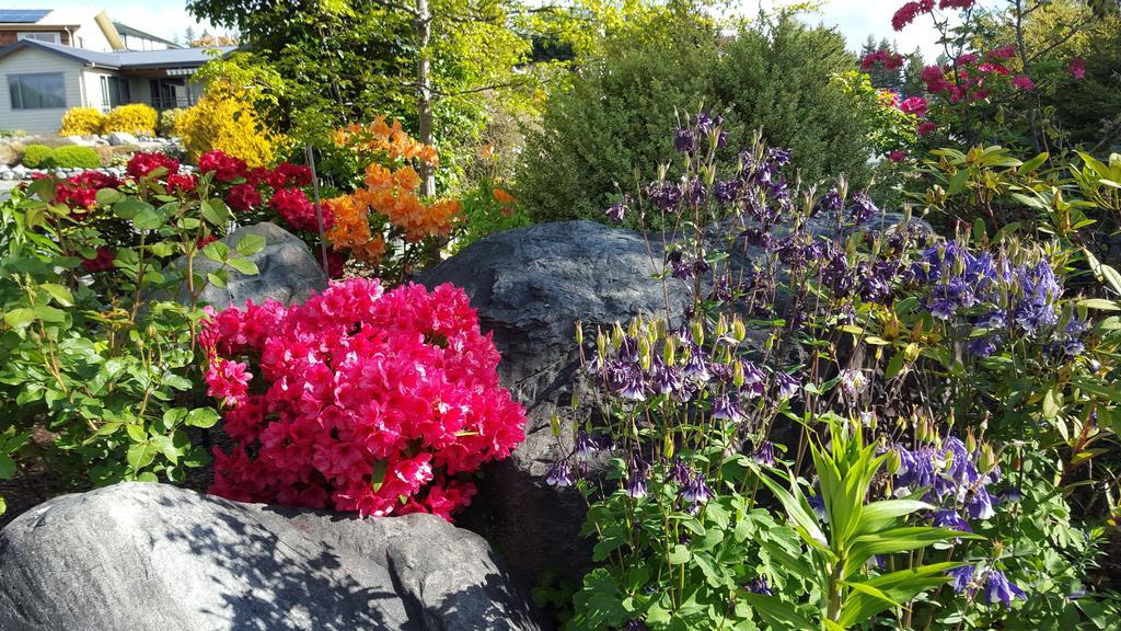 Marie Therese Apartment B&B Lake Tekapo Bagian luar foto