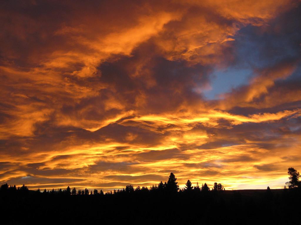 Marie Therese Apartment B&B Lake Tekapo Bagian luar foto