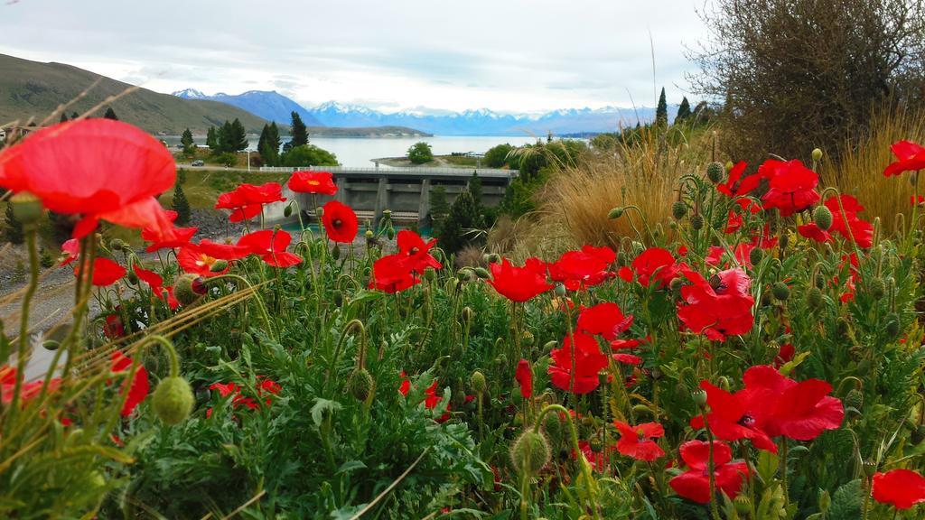 Marie Therese Apartment B&B Lake Tekapo Bagian luar foto